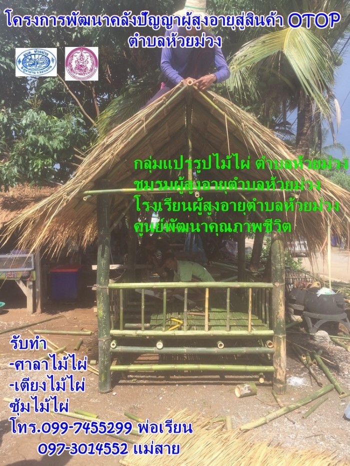 โครงการพัฒนาคลังปัญญาผู้สูงอายุสู่สินค้า OTOP ตำบลห้วยม่วง